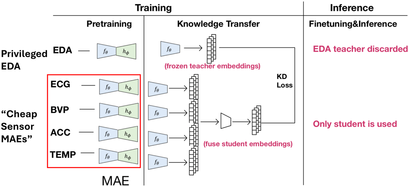 PULSE framework: a privileged EDA teacher is used during pretraining and knowledge transfer, then discarded so only cheap sensor students run at inference.